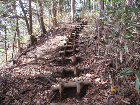 20161229hike (220)